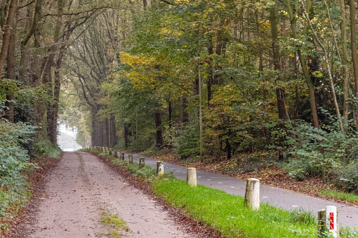 Foto 59 van Bergstraat 7