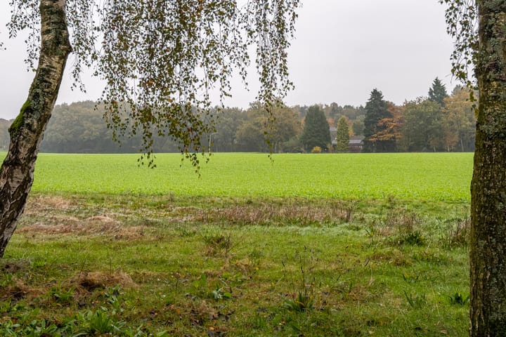 Foto 60 van Bergstraat 7