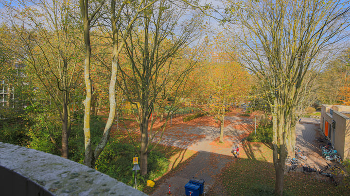 Foto 25 van Het Hoogt 52