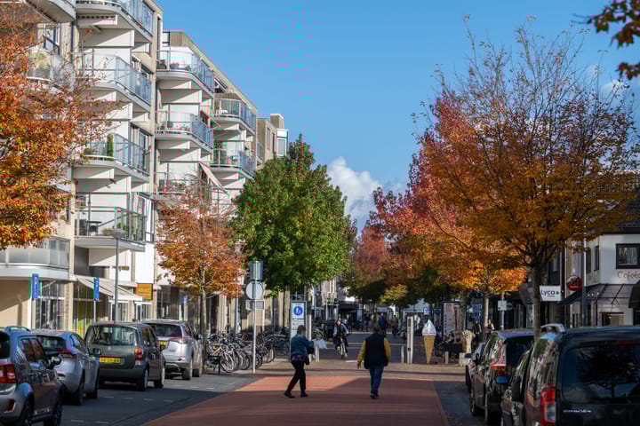 Foto 35 van Scheepjeshof 91