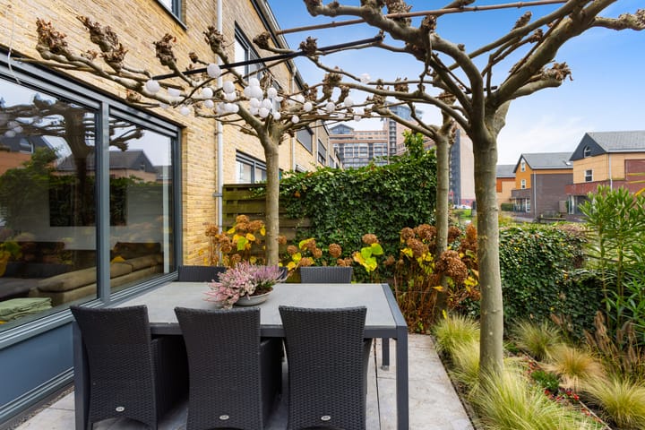 Foto 12 van Windhalm 35