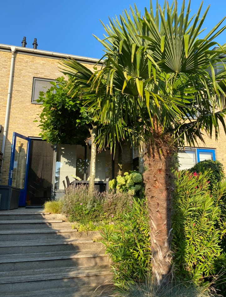 Foto 15 van Windhalm 35