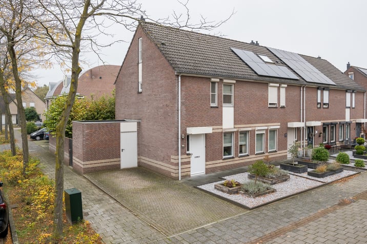 undefined main image