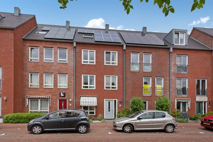 Foto 1 van Speenkruid 60