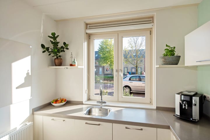 Foto 10 van Speenkruid 60