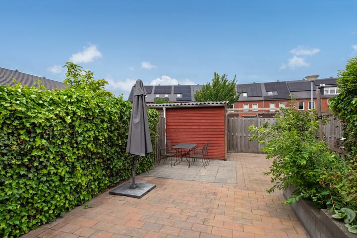 Foto 16 van Speenkruid 60