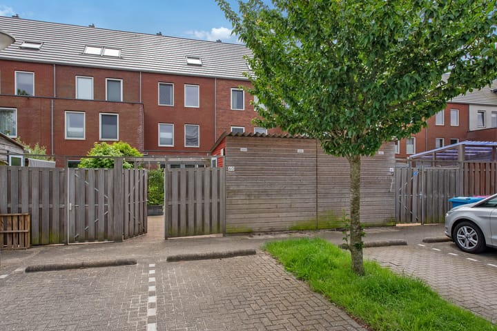 Foto 38 van Speenkruid 60