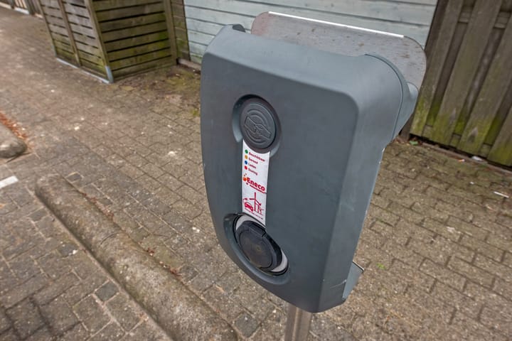 Foto 40 van Speenkruid 60