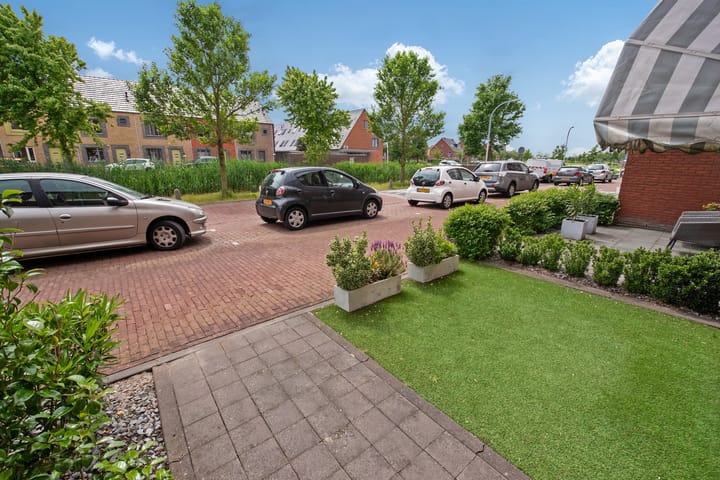 Foto 42 van Speenkruid 60