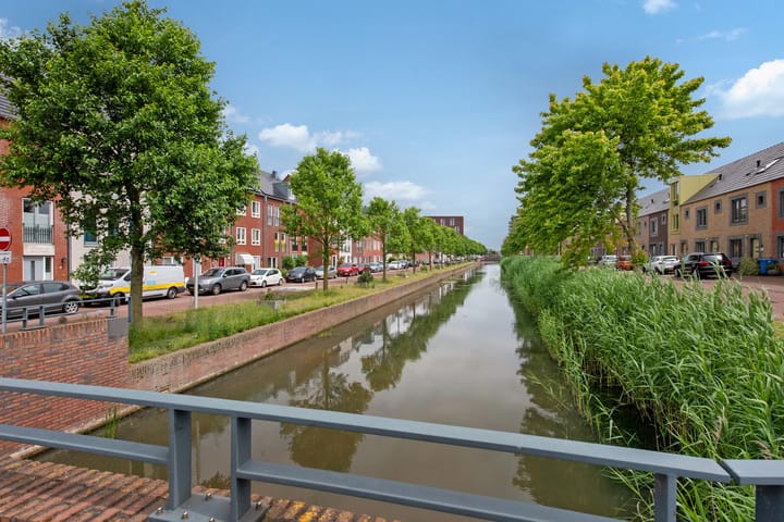 Foto 45 van Speenkruid 60