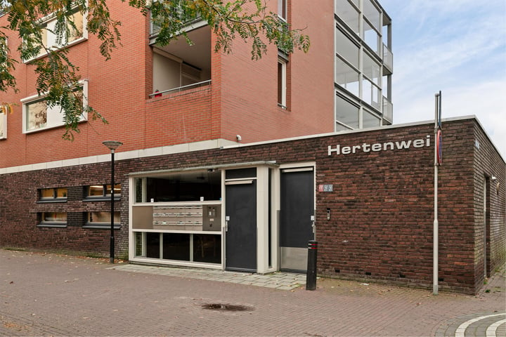 Bekijk foto 3 van Koestraat 64