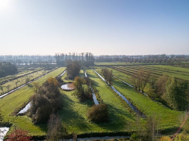 Foto 13 van Winterdijk 43