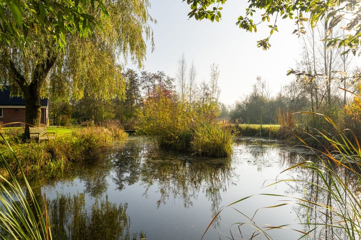 Foto 6 van Winterdijk 43