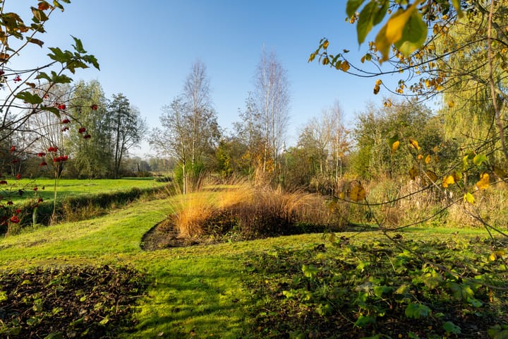 Foto 11 van Winterdijk 43