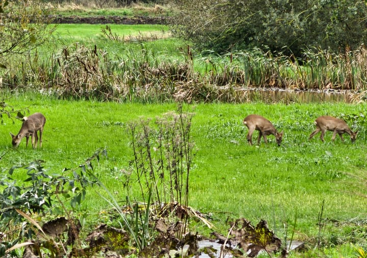 Foto 14 van Winterdijk 43