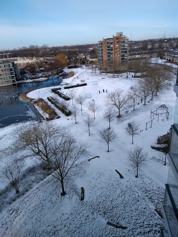 Foto 44 van Erasmuspark 133