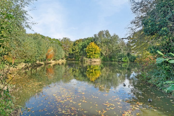 Bekijk foto 36 van Slakkenveen 336