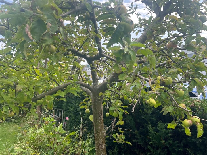 Photo 22 of J.F. de Millianostraat 30