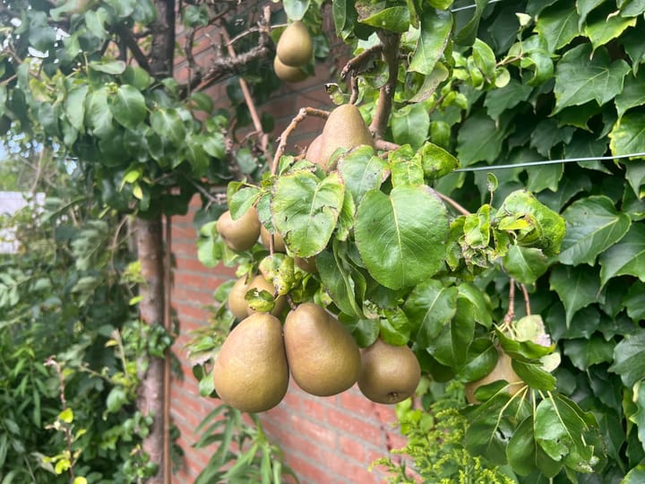 Photo 24 of J.F. de Millianostraat 30