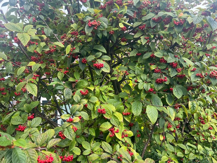 Photo 26 of J.F. de Millianostraat 30