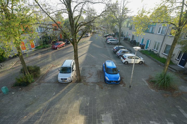 View photo 15 of Ridderspoor 97