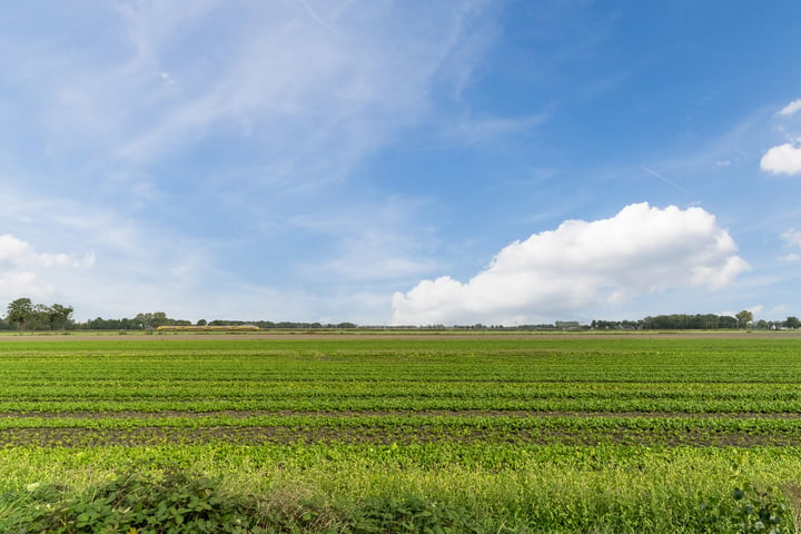 Bekijk foto 44 van Eikenveld 17