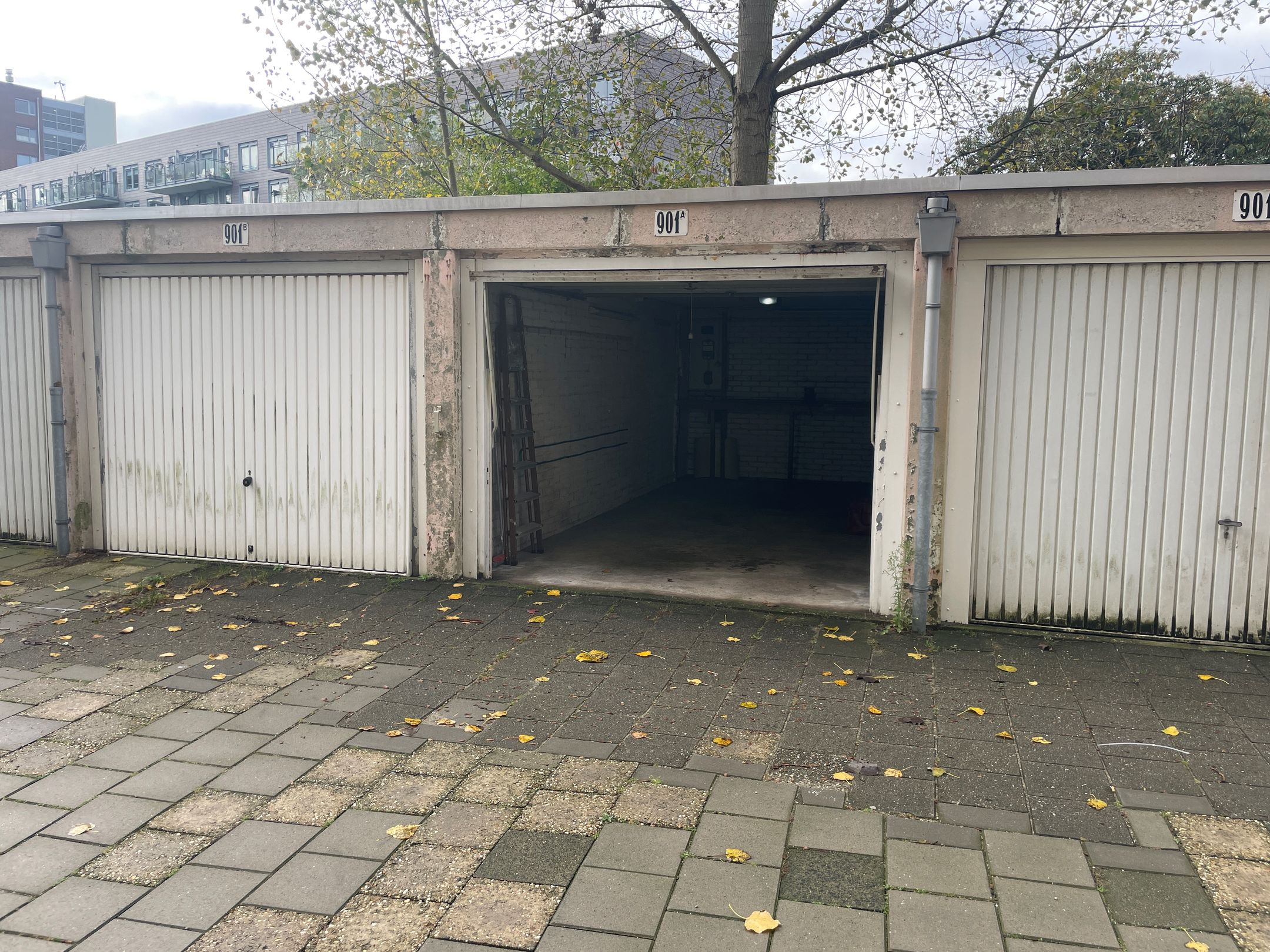 Loevesteinlaan 901-A, 901, A, Den Haag, 2533CB, Zuid-Holland, Nederland 901 