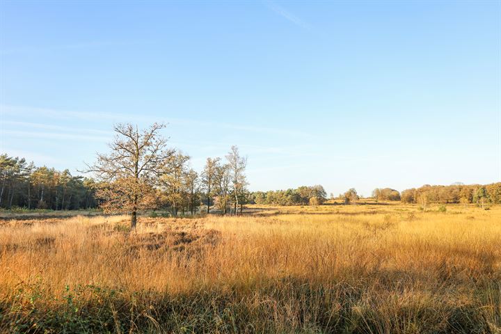 Bekijk foto 4 van Krimweg 140-A92