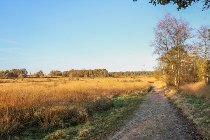 Bekijk foto 27 van Krimweg 140-A92