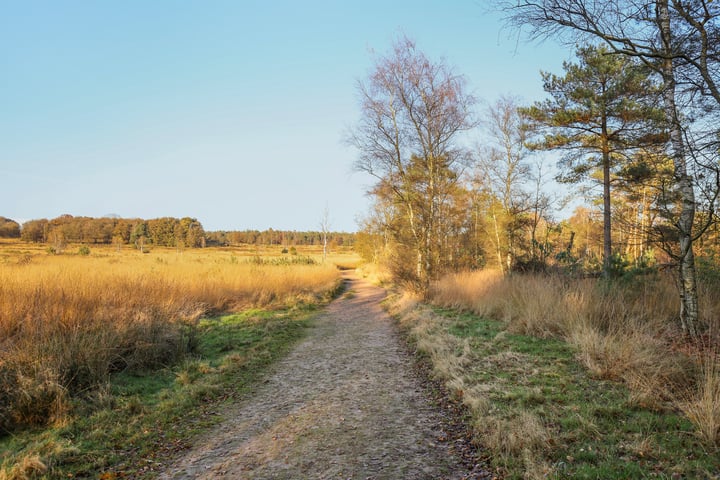 Bekijk foto 28 van Krimweg 140-A92