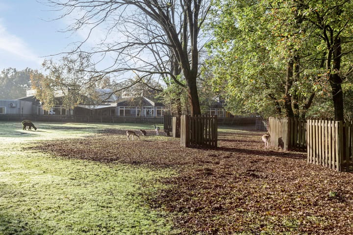 Foto 34 van Eymerickhof 14