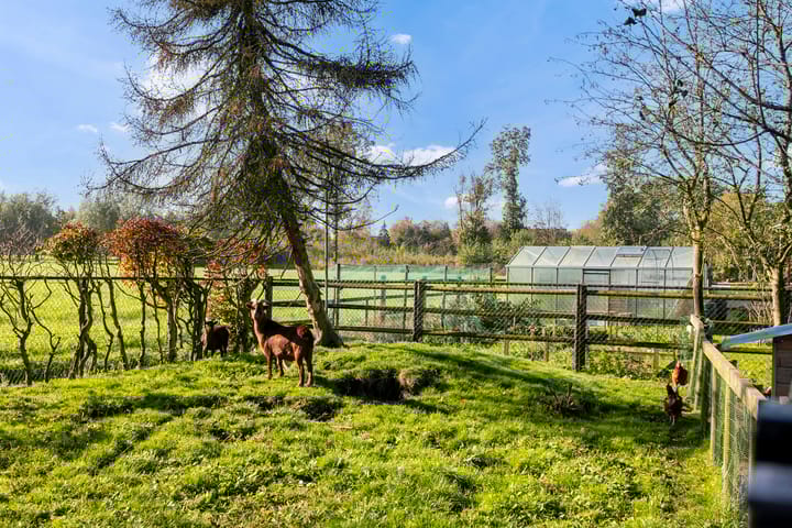 Foto 30 van Polderstraat 15