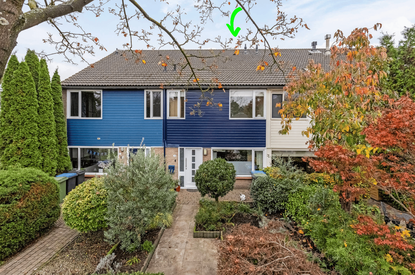 Foto 1 van Beryldijk 148