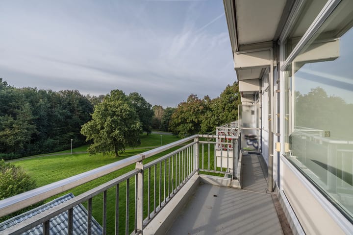 Foto 12 van Johan Willem Frisolaan 24-A