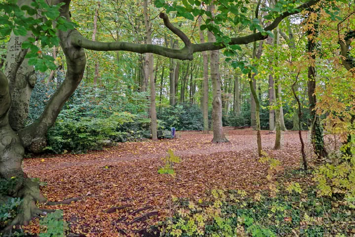 Photo 24 of M. Harpertszoon Tromplaan 154