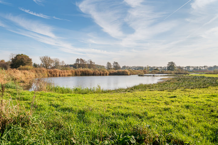 Bekijk foto 49 van Anholtseweg 68