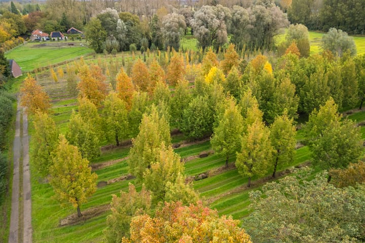 Foto 73 van Berkstraat 48