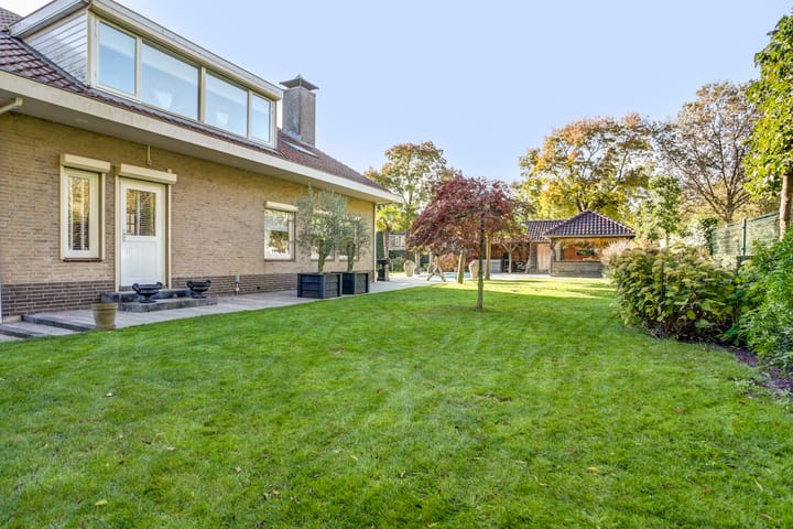 Foto 50 van Grondmolen 41