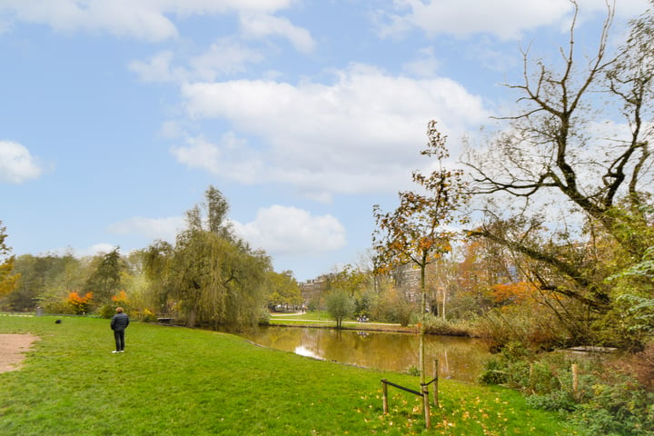 Bekijk foto 32 van Sarphatipark 129-3