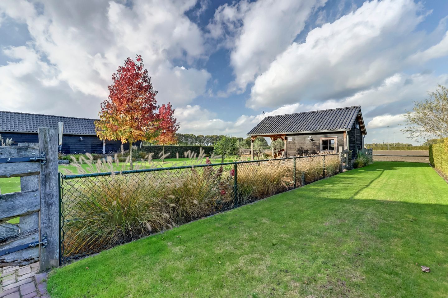 Foto 4 van Lowerik 41