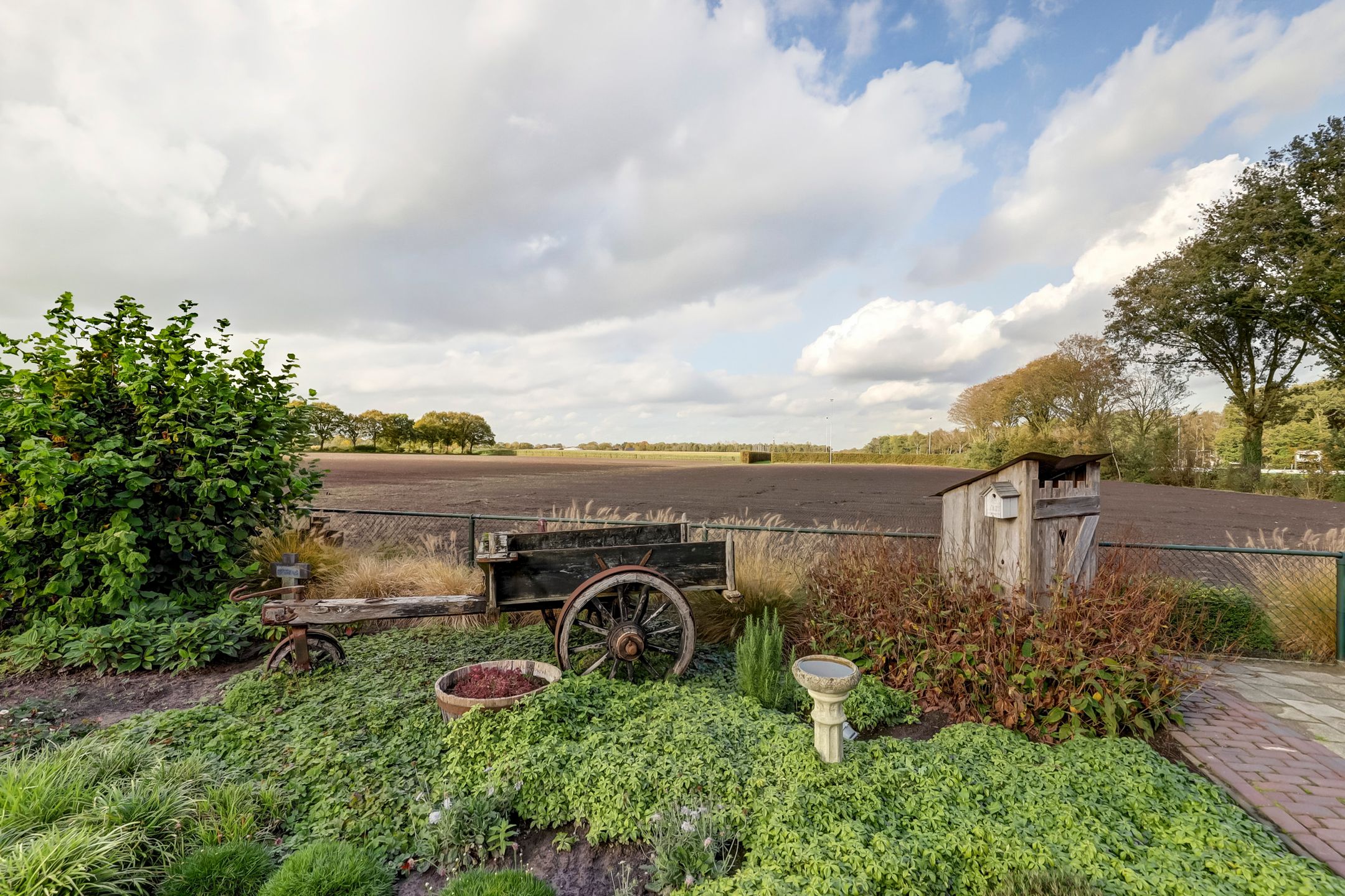 Foto 6 van Lowerik 41