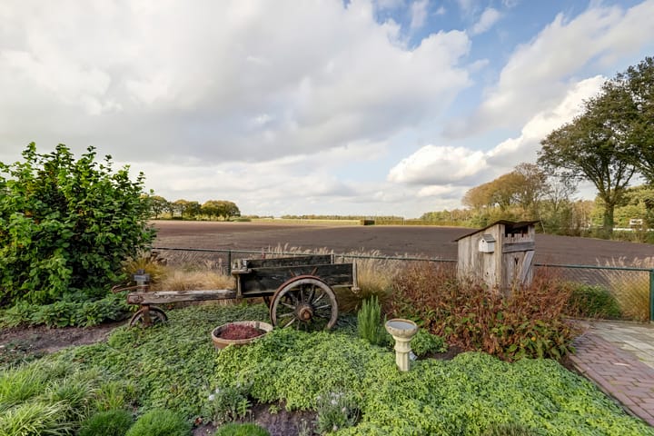 Foto 6 van Lowerik 41