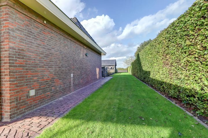 Foto 59 van Lowerik 41