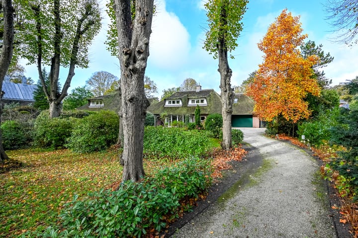 Foto 40 van Zuidlaan 12