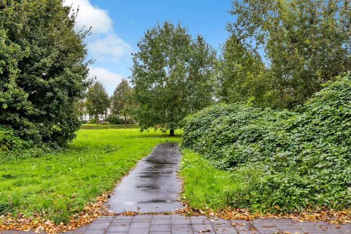 Bekijk foto 41 van Middachtenstraat 31