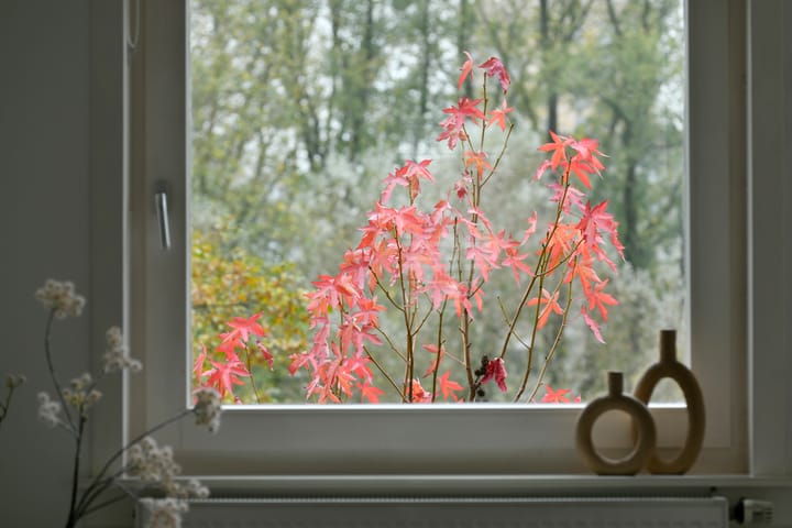 Foto 8 van Warmondstraat 71-3