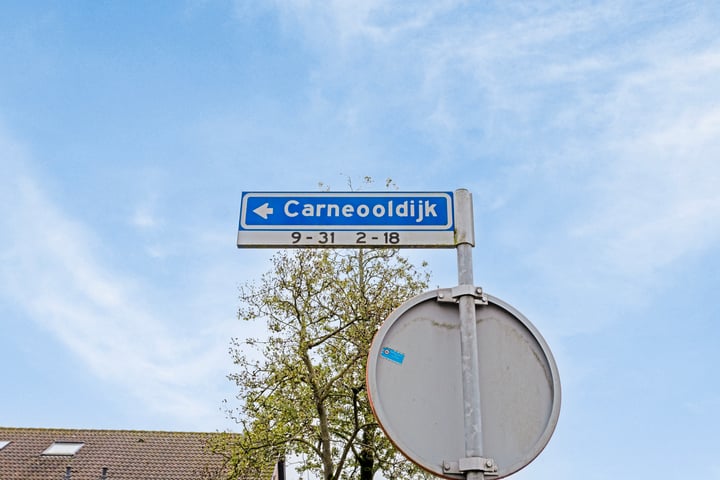 Bekijk foto 38 van Carneooldijk 13