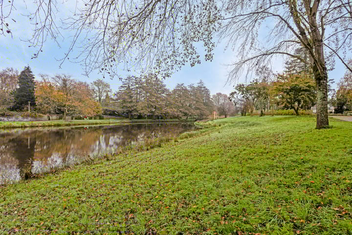 Foto 39 van Carneooldijk 13