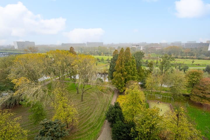 Foto 4 van Sibeliusplein 252