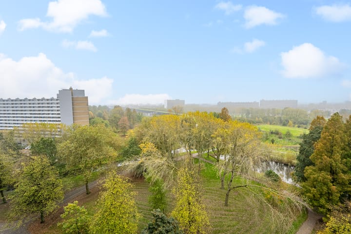 Foto 20 van Sibeliusplein 252